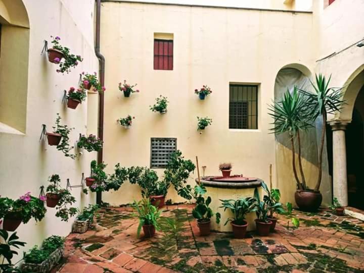 Albergue Convento S.Francisco 사프라 외부 사진